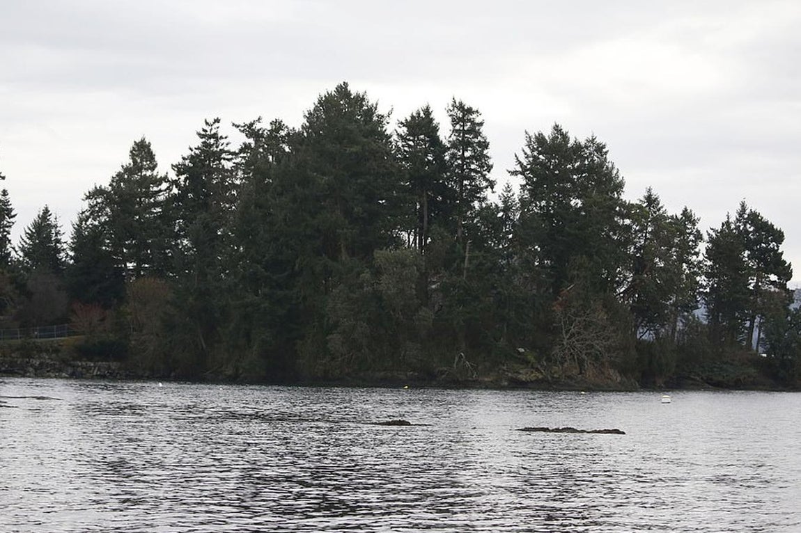Navidad de lujo en Canadá. Sotheby's por otro lado, añadió que la finca ocupa, en total, En total, la propiedad cubre 10060 m2, la tiene en su cuenta desde 2012 y tiene, además del cobertizo, una cabaña para invitados con 3 amas. La mansión también tiene sala de prensa, bodega y un espacio apropiado para catar vinos y una sala de estar de dos plantas.