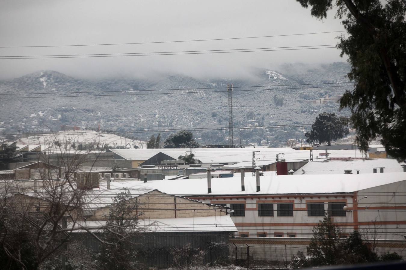 Diez años de la gran nevada de 2010 en Córdoba, en imágenes