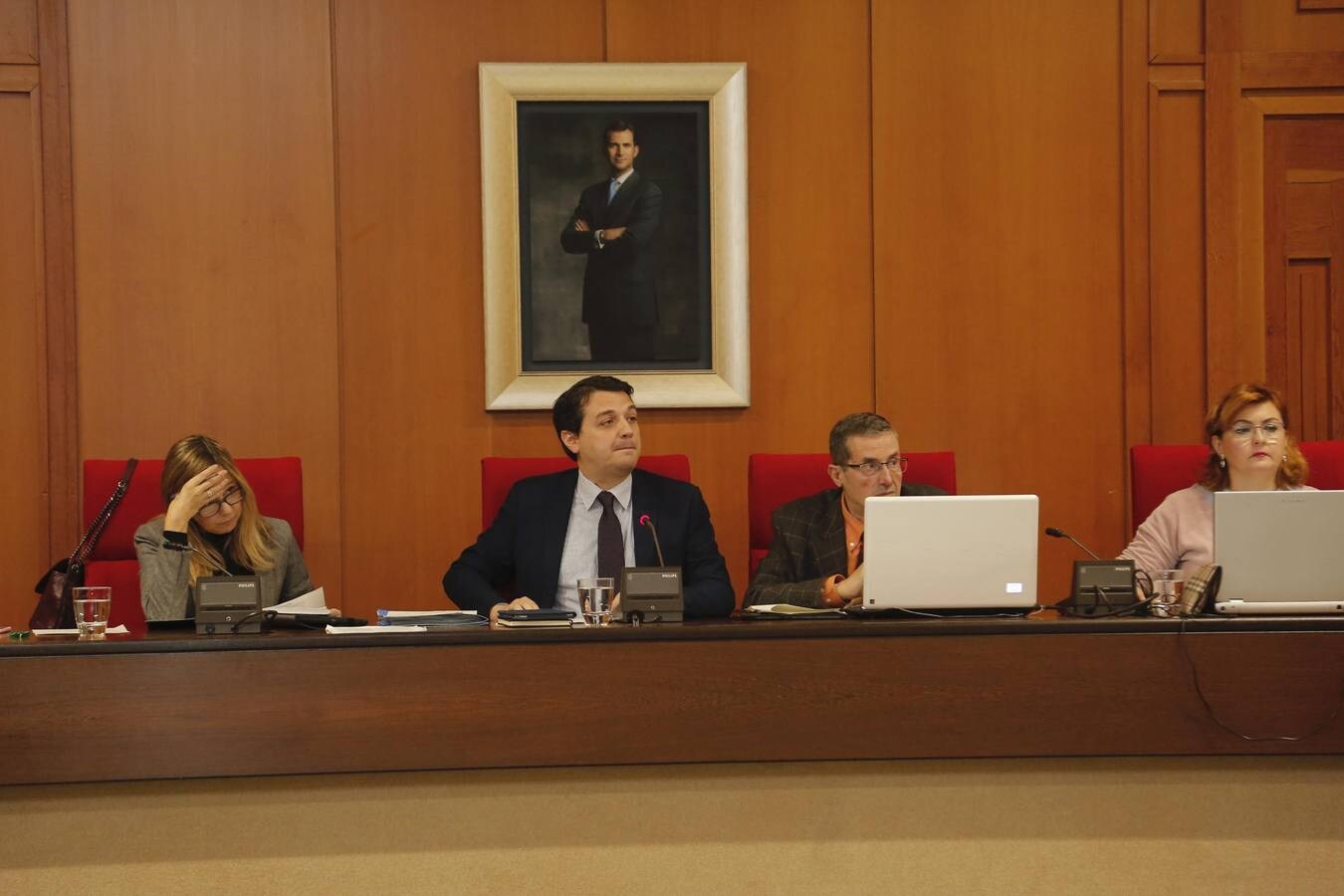 La sesión plenaria de enero en el Ayuntamiento de Córdoba, en imágenes