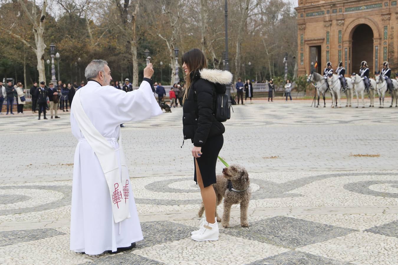 En imágenes, la bendición de San Antón para los caballos de la Policía Nacional