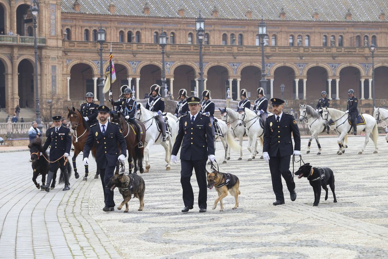 En imágenes, la bendición de San Antón para los caballos de la Policía Nacional