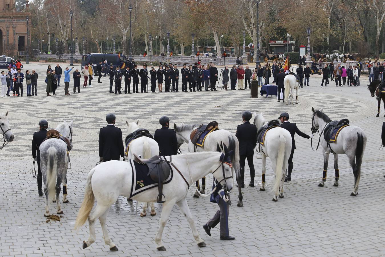 En imágenes, la bendición de San Antón para los caballos de la Policía Nacional