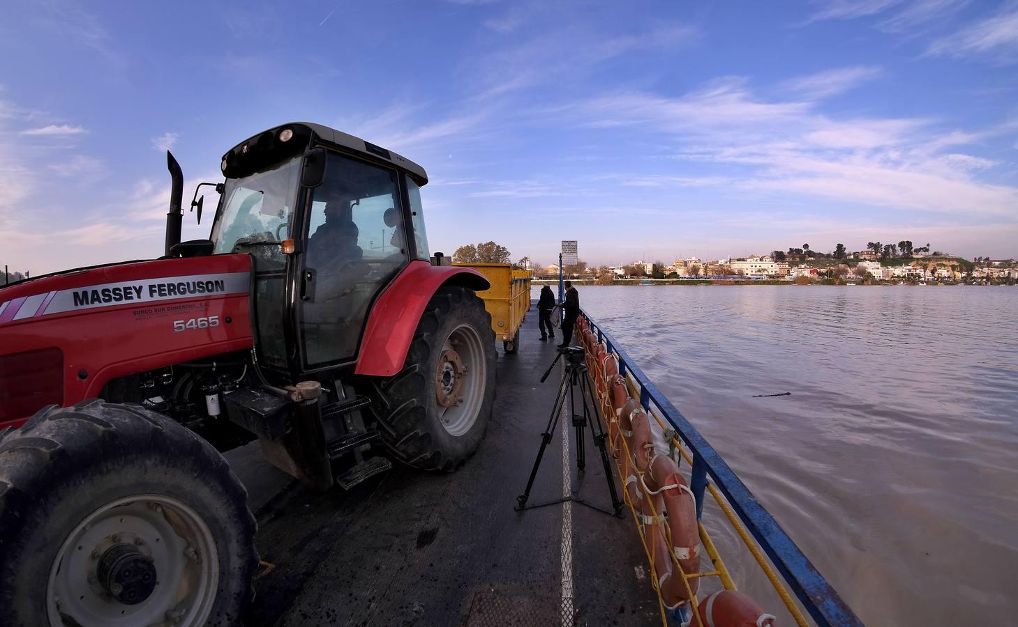 Cruzando el Guadalquivir en la barcaza de Coria