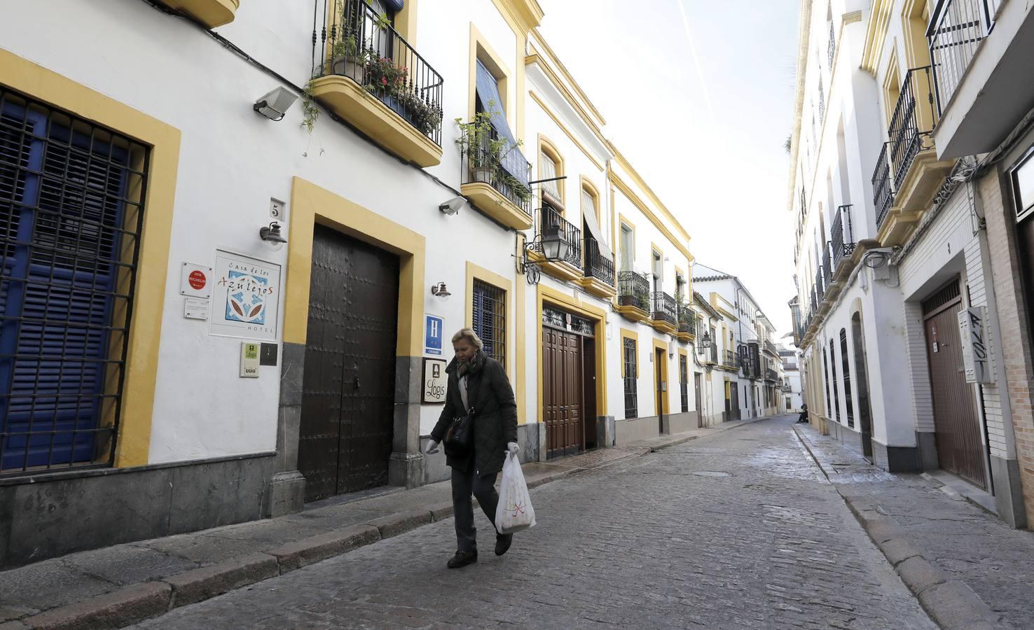 La calle Fernando Colón de Córdoba, en imágenes