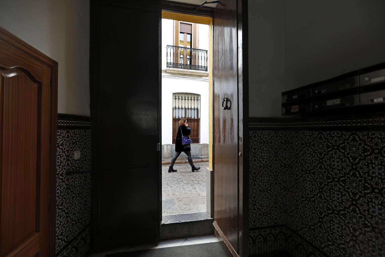 La calle Fernando Colón de Córdoba, en imágenes