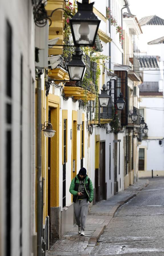 La calle Fernando Colón de Córdoba, en imágenes