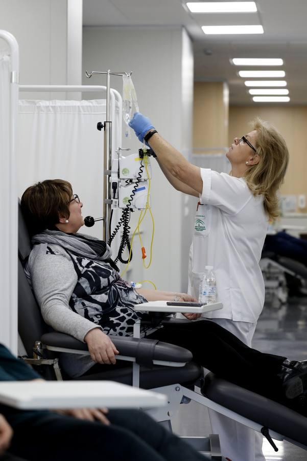 Una mañana en el Hospital de Día de Oncología de Córdoba, en imágenes