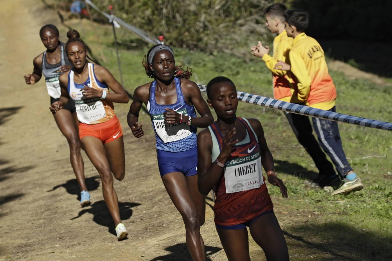 El Cross de Itálica, en imágenes