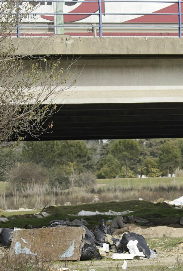 En imágenes: vivir debajo de un puente