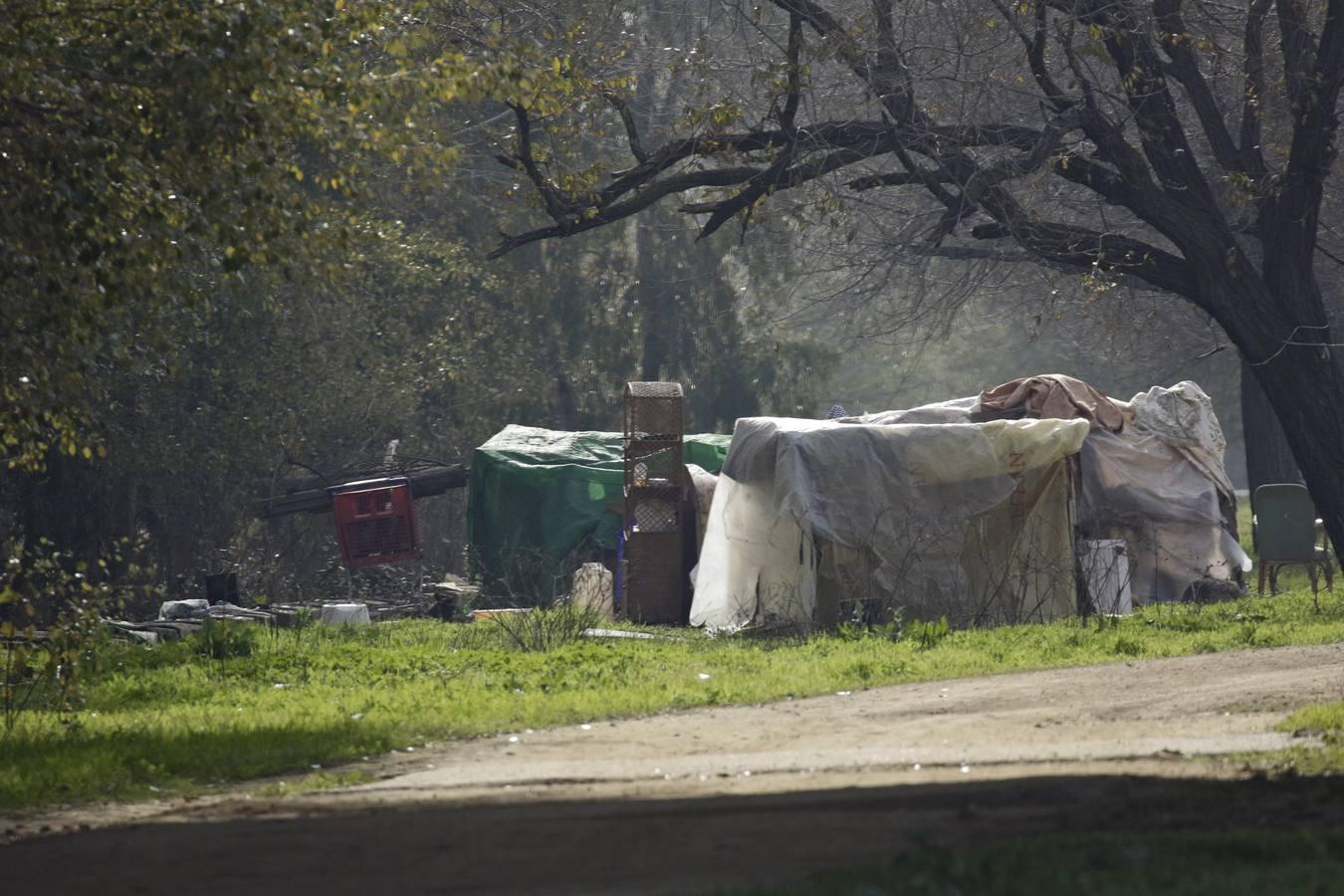 En imágenes: vivir debajo de un puente