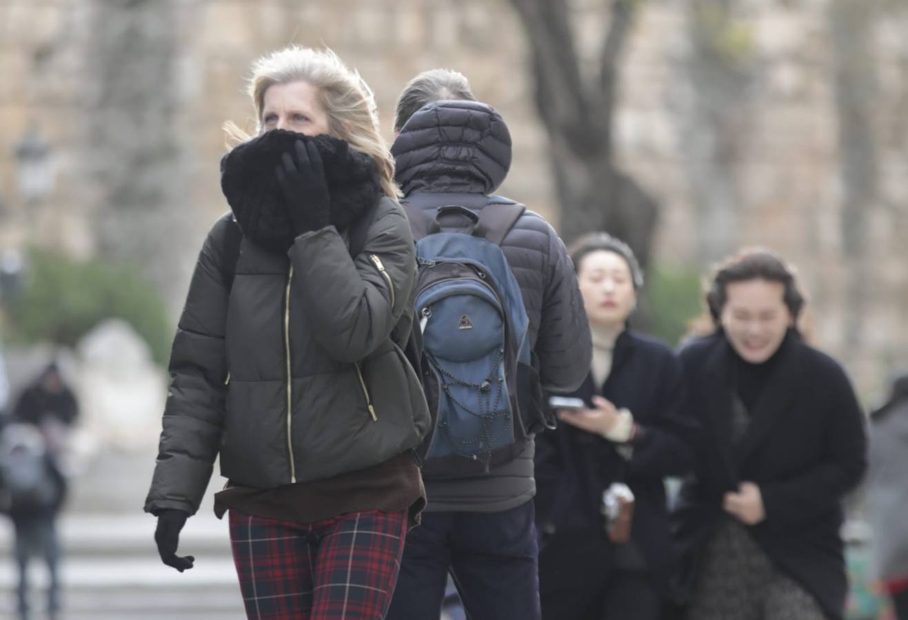 En imágenes, el frío y el viento hace temblar a Sevilla