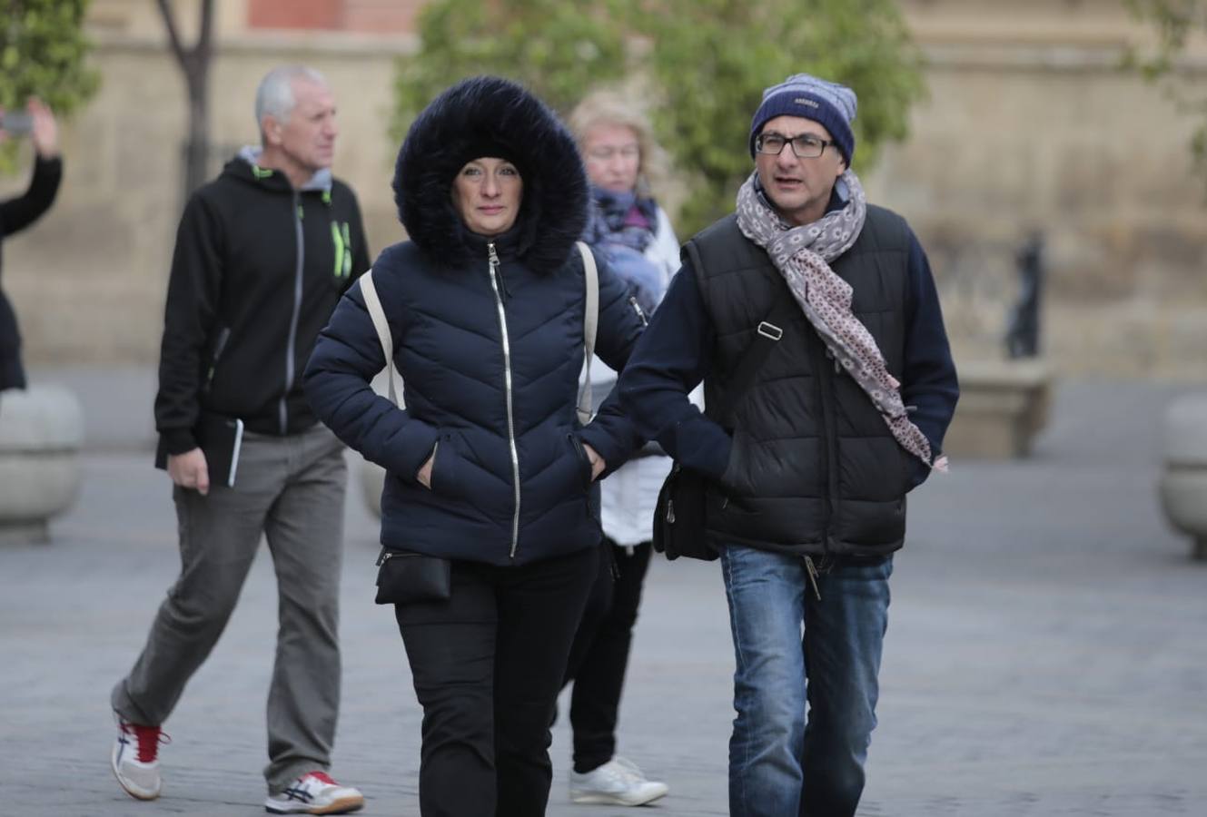 En imágenes, el frío y el viento hace temblar a Sevilla