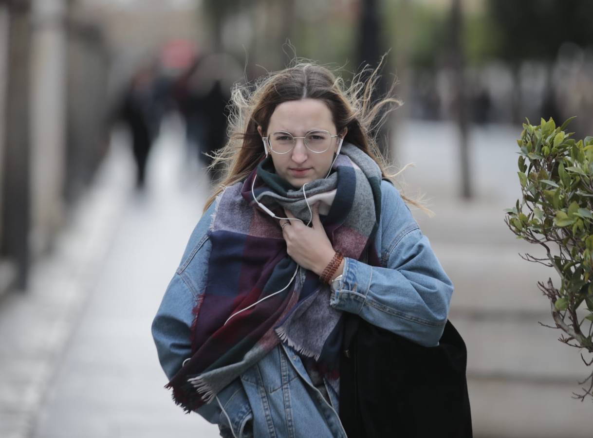 En imágenes, el frío y el viento hace temblar a Sevilla