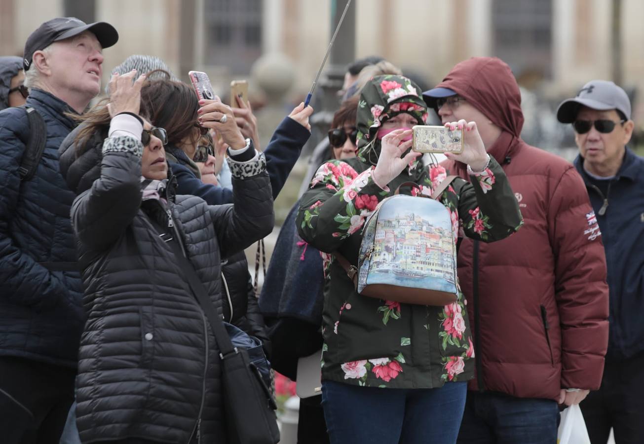 En imágenes, el frío y el viento hace temblar a Sevilla