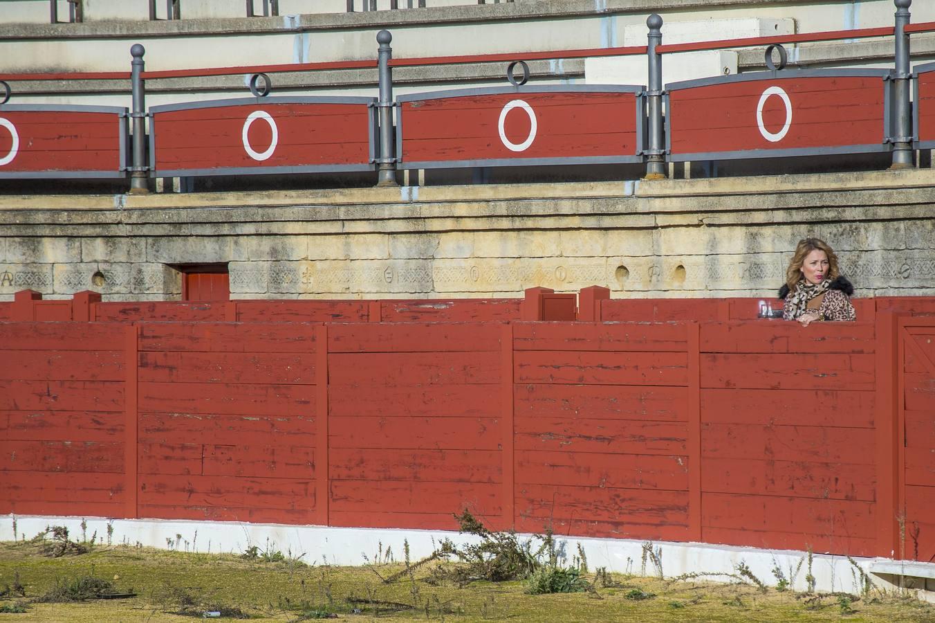 En imágenes, el expolio y el vandalismo arruinan la plaza de toros de Espartinas