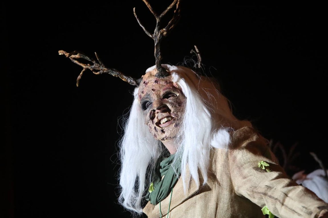 FOTOS: Comparsa &#039;La superviviente&#039; en el COAC 2020