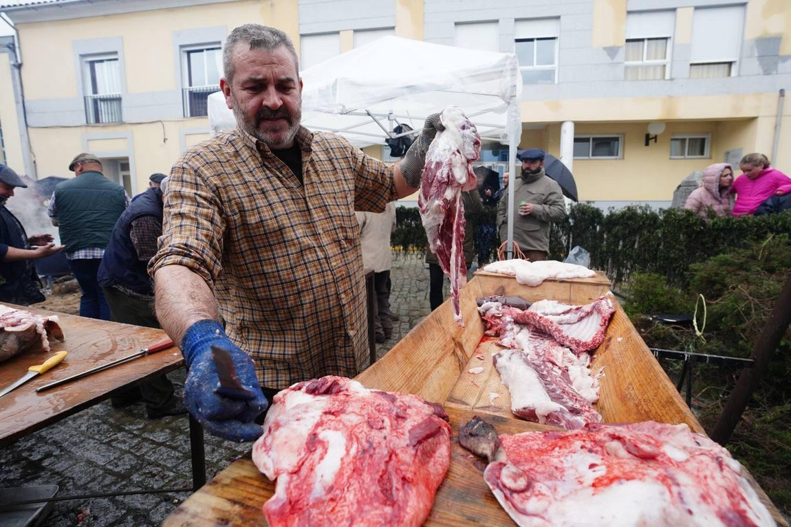 La Fiesta de la Matanza en Alcaracejos, en imágenes