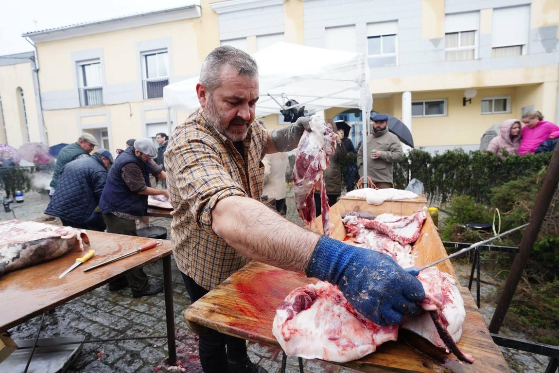 La Fiesta de la Matanza en Alcaracejos, en imágenes