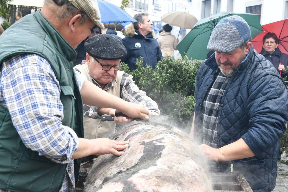 La Fiesta de la Matanza en Alcaracejos, en imágenes