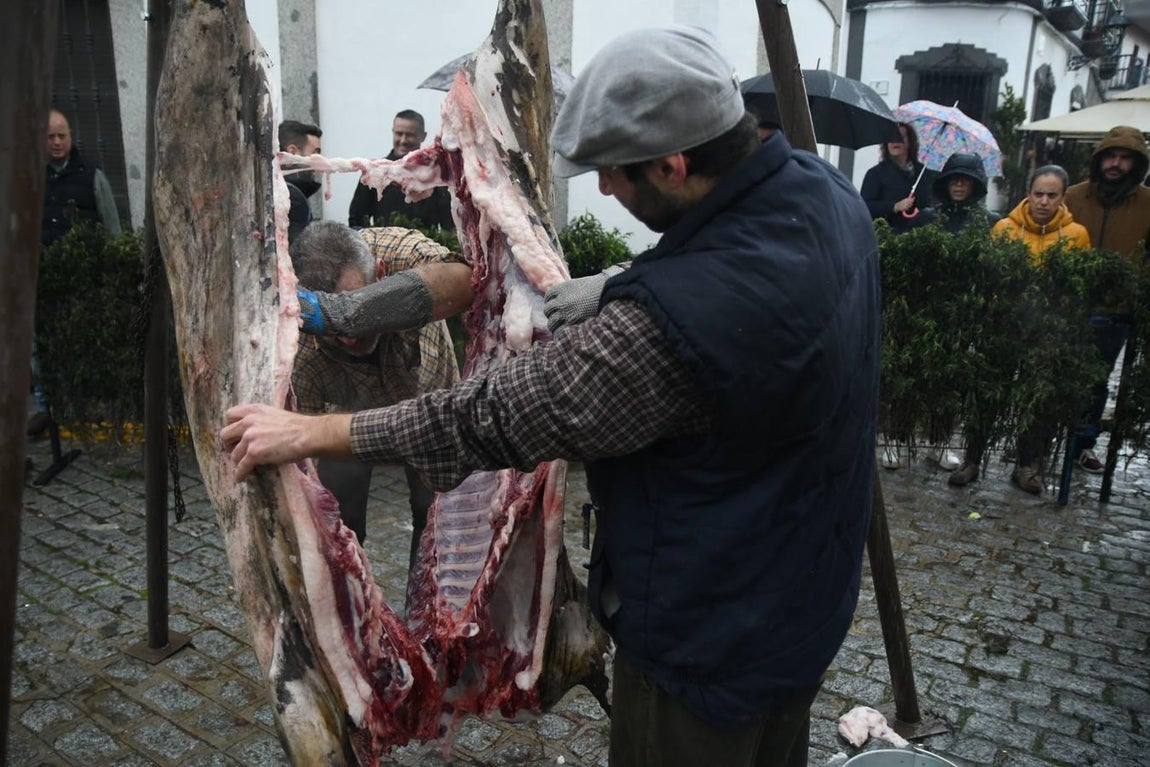 La Fiesta de la Matanza en Alcaracejos, en imágenes