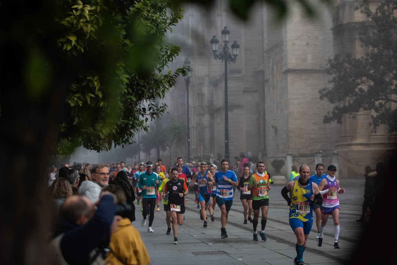 ¿Has corrido la Media Maratón de Sevilla? ¡Búscate aquí! (IV)