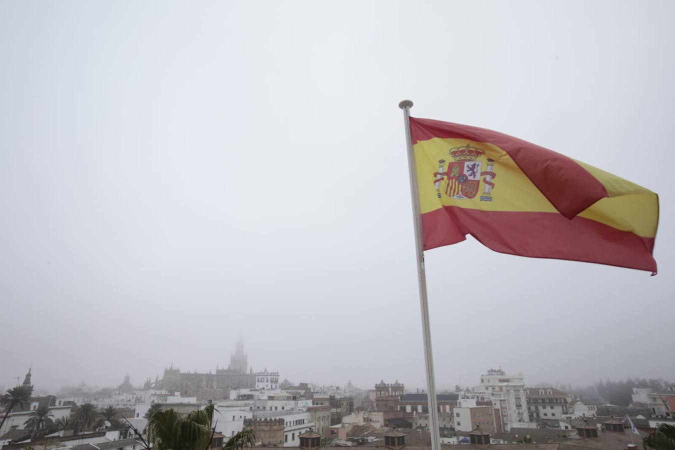 Sevilla ha despertado este lunes cubierta de una densa niebla