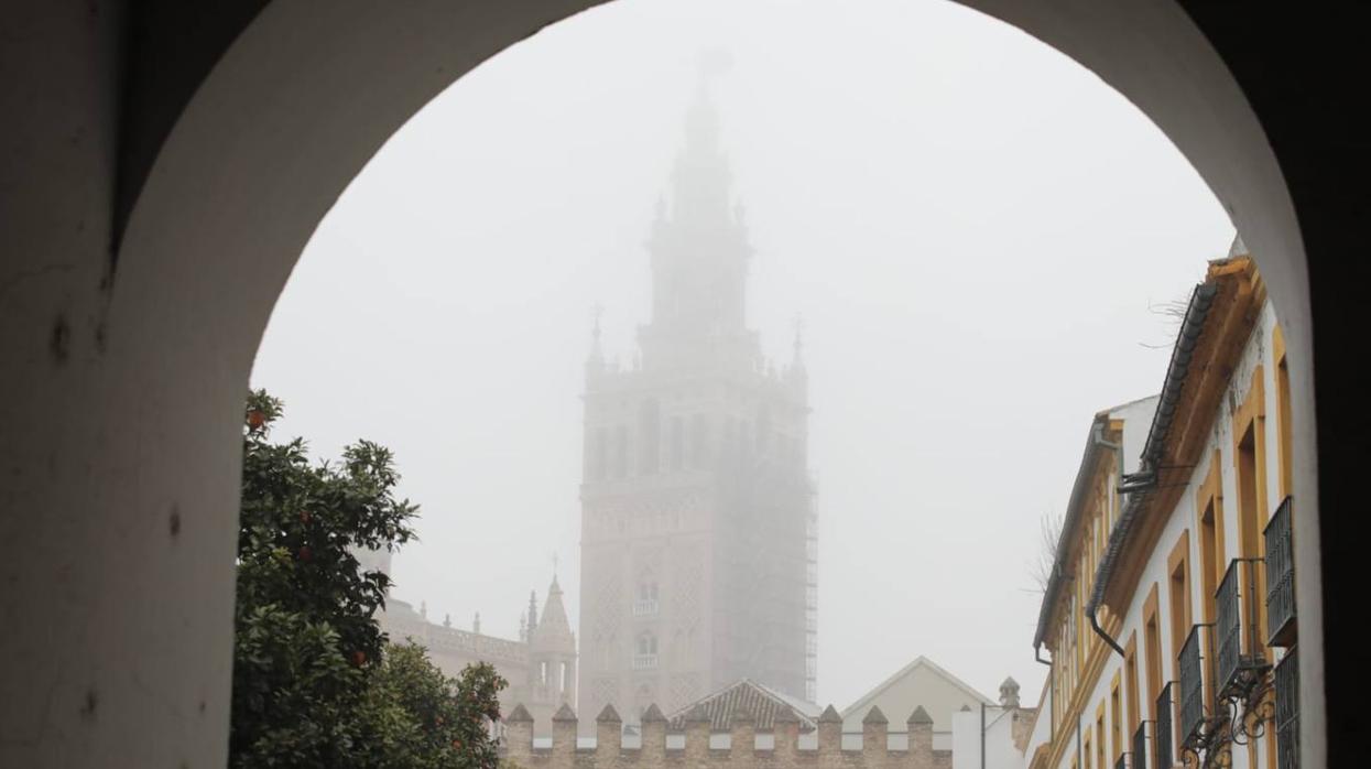 Sevilla ha despertado este lunes cubierta de una densa niebla