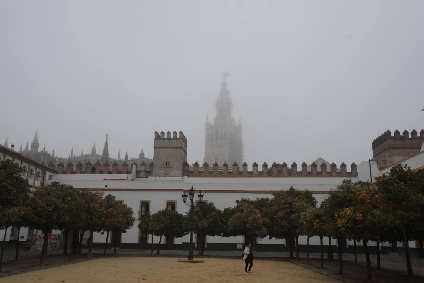 Sevilla ha despertado este lunes cubierta de una densa niebla