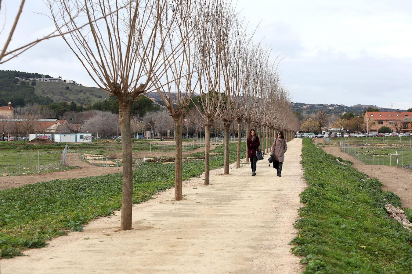 Abre la «Senda de las Moreras» en la Vega Baja de Toledo