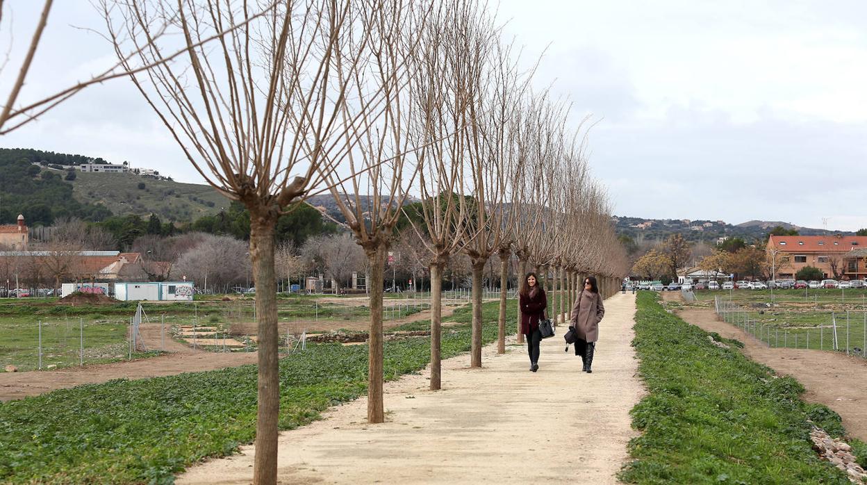 Abre la «Senda de las Moreras» en la Vega Baja de Toledo