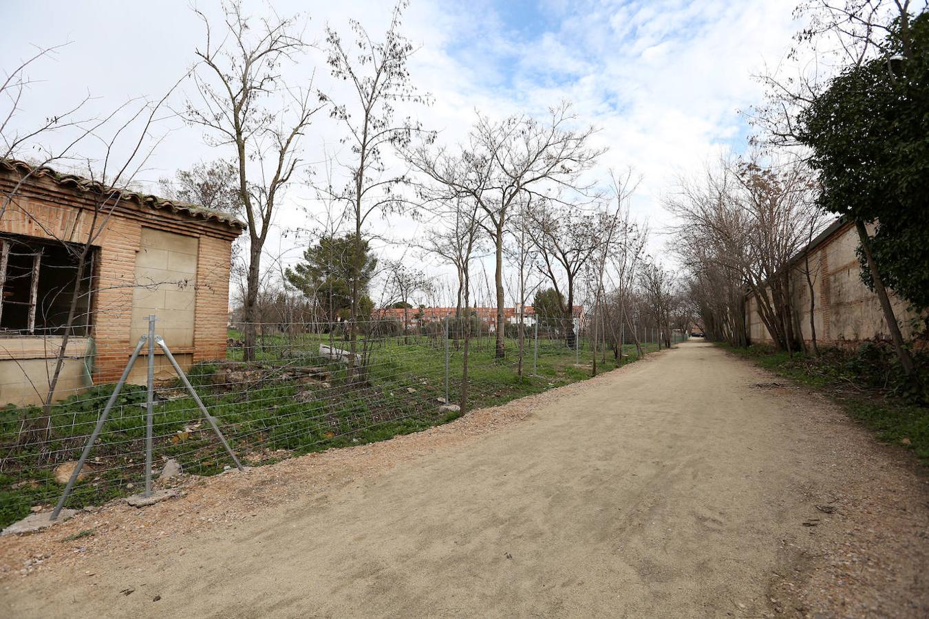 Abre la «Senda de las Moreras» en la Vega Baja de Toledo