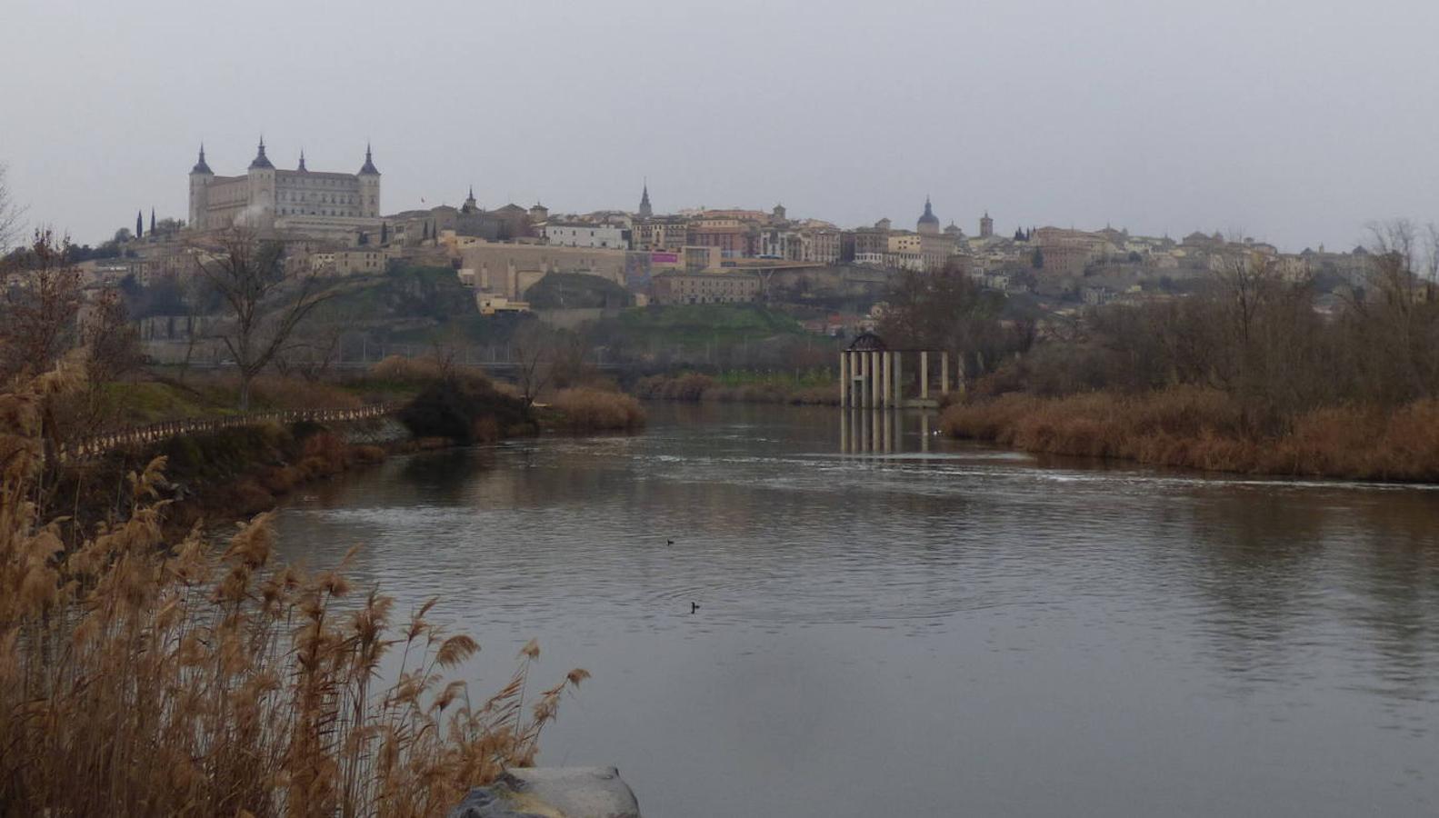 El Tajo entre la Huerta del Rey (a la izquierda) y la orilla opuesta donde el corregidor Navarro dispuso la presa y otras explotaciones agrícolas en terrenos de la ciudad FOTO RAFAEL DEL CERRO. 