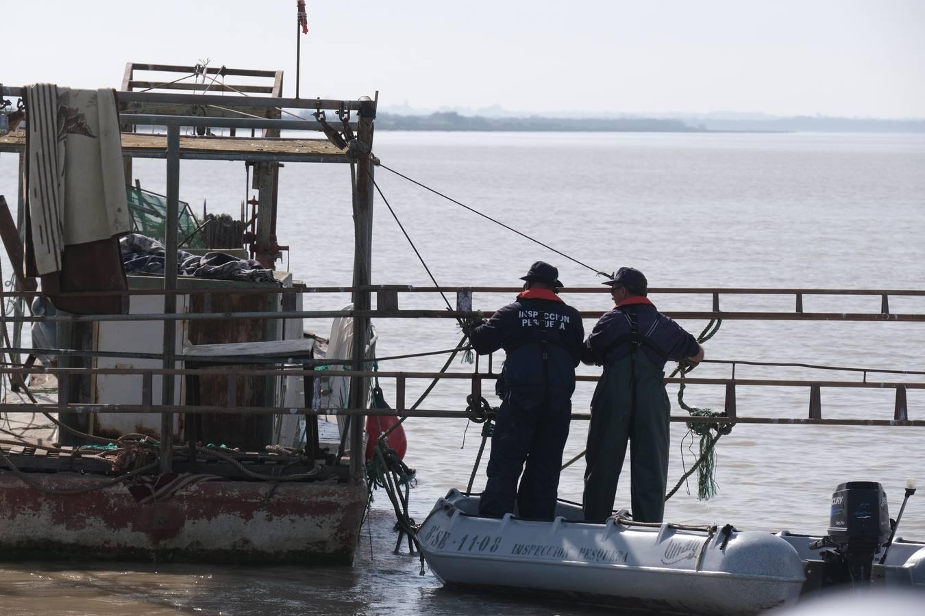 FOTOS: Golpe de la Guardia Civil a la pesca ilegal de angulas en el Guadalquivir