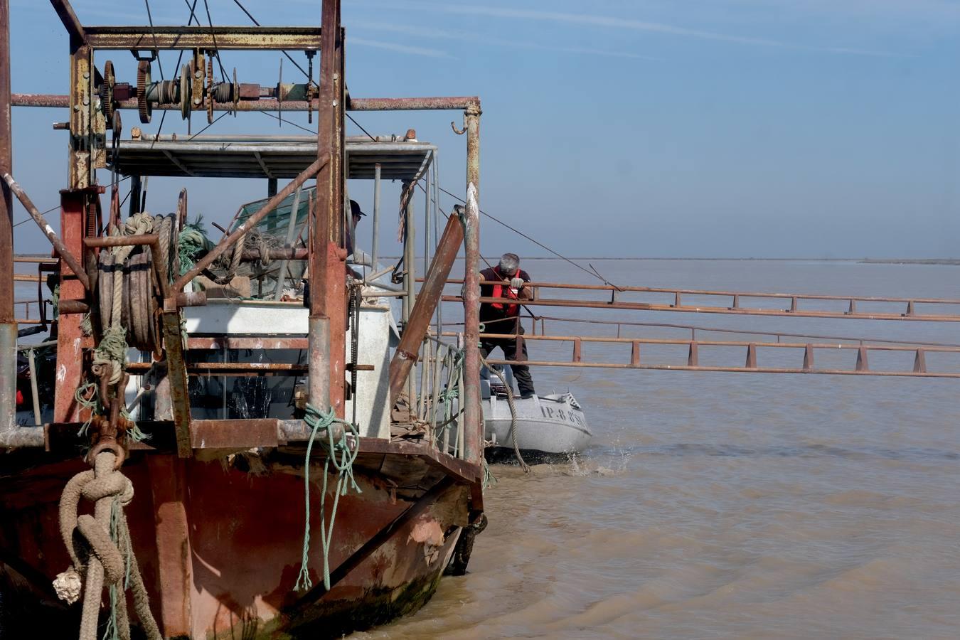 FOTOS: Golpe de la Guardia Civil a la pesca ilegal de angulas en el Guadalquivir