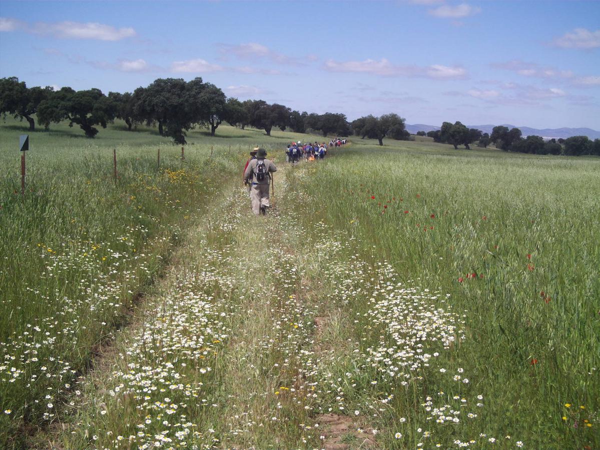 El Camino Mozárabe de Córdoba, en imágenes