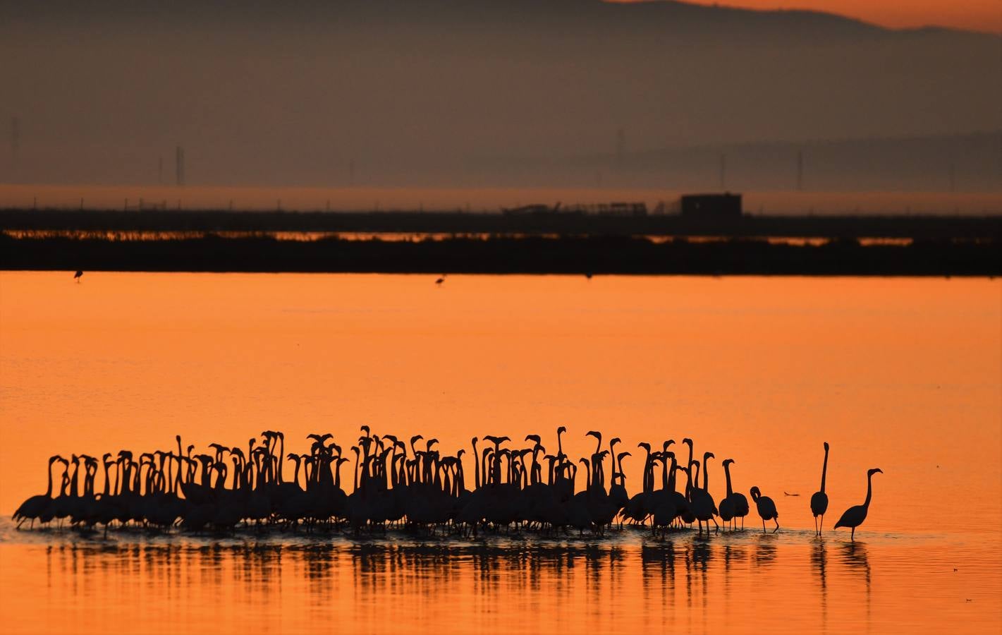 Impresionantes imágenes del corazón de Doñana