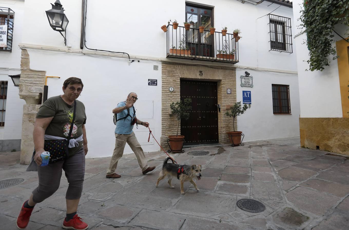 La calle Romero de Torres en Córdoba, en imágenes