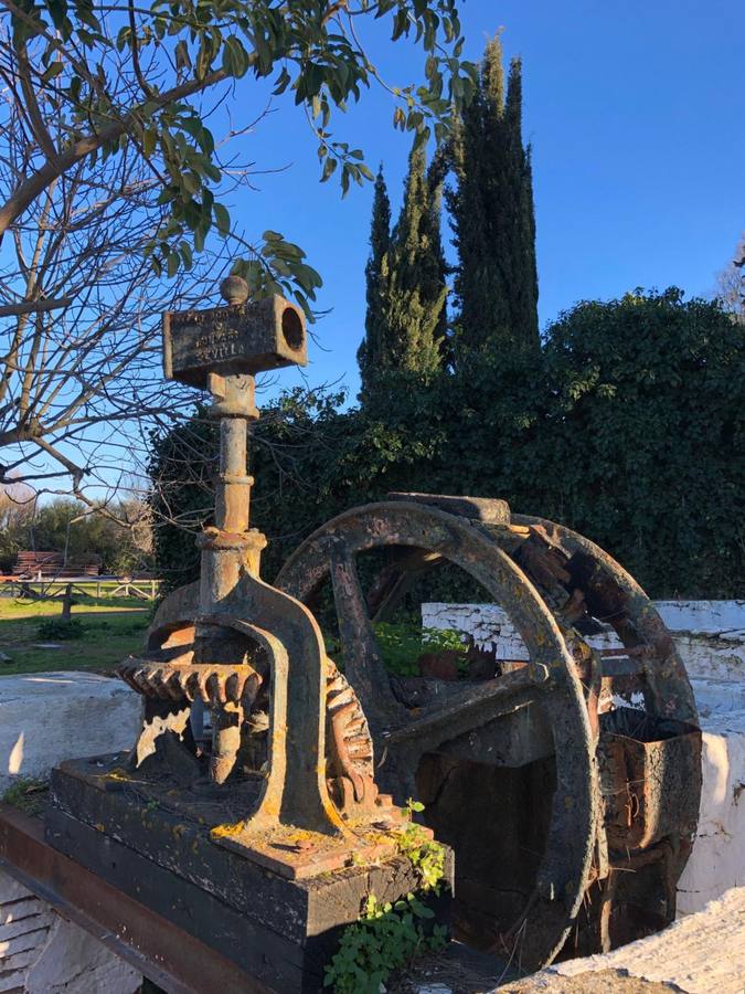 En imágenes, la Huerta de la Noria, la finca de Joaquín Romero Murube al detalle