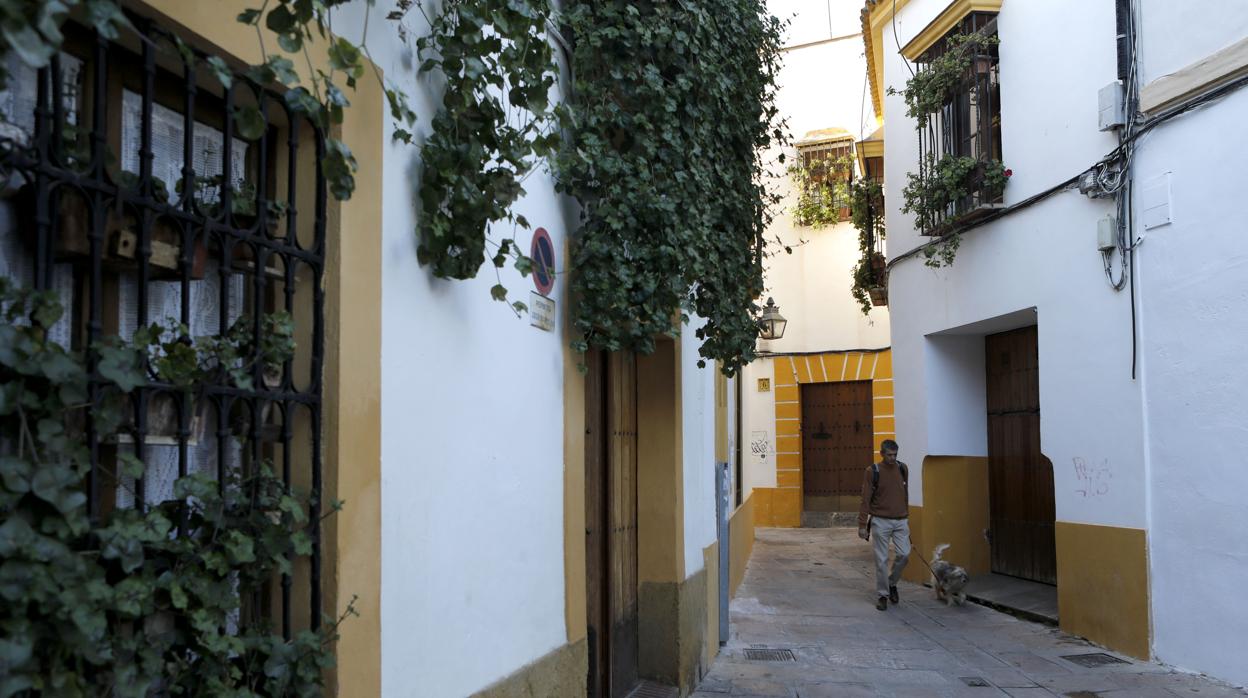 La calle Romero de Torres en Córdoba, en imágenes