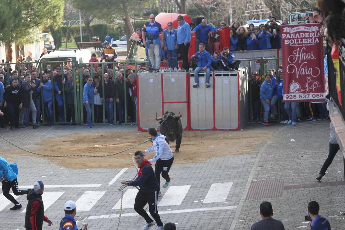 El toro enmaromado de San Blas