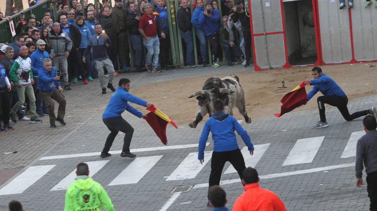 El toro enmaromado de San Blas