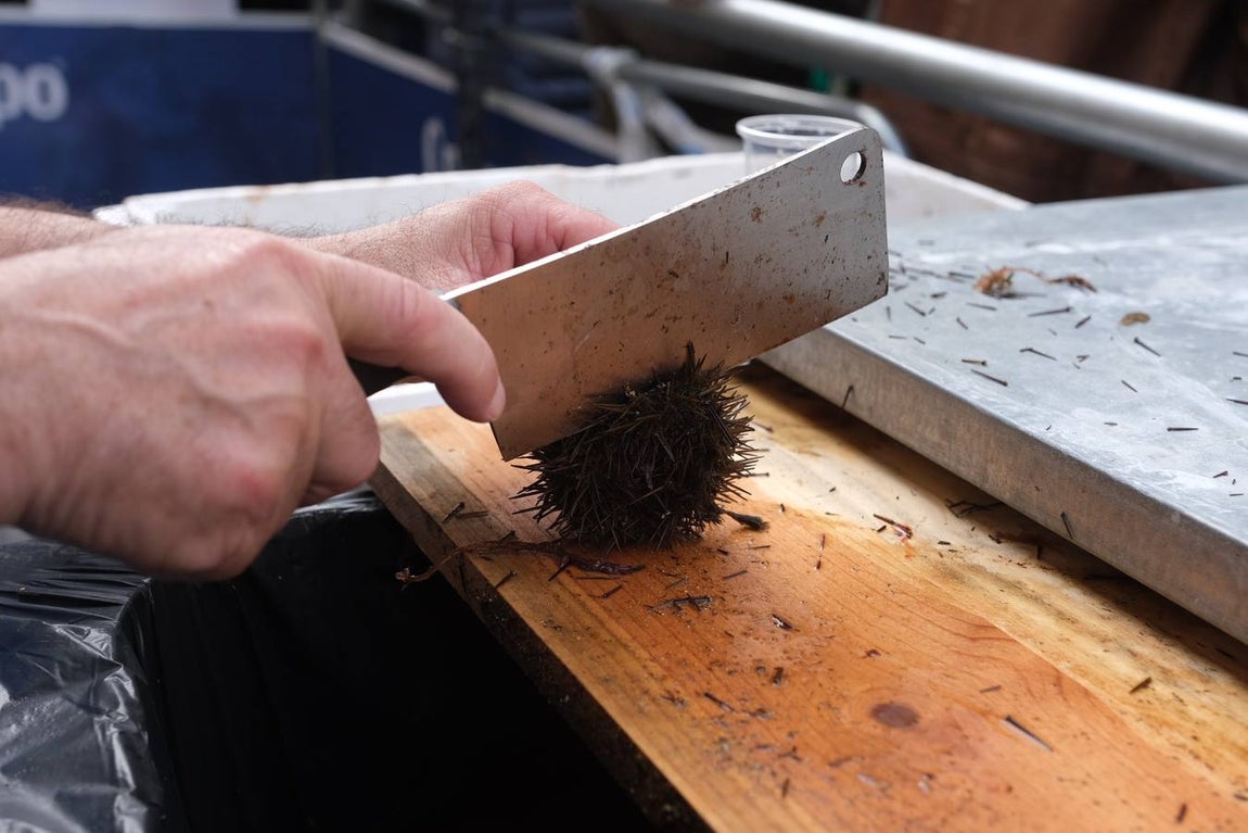 Gran ambiente en La Viña ante la celebración de la Erizada