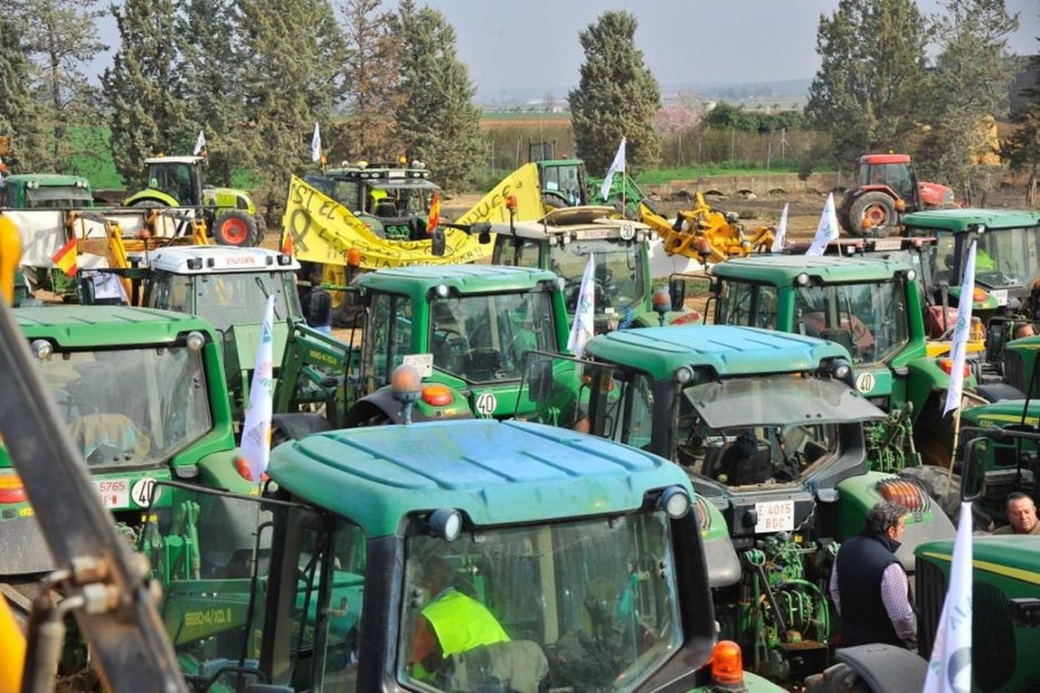 Las reivindicaciones de los agricultores en Málaga, en imágenes