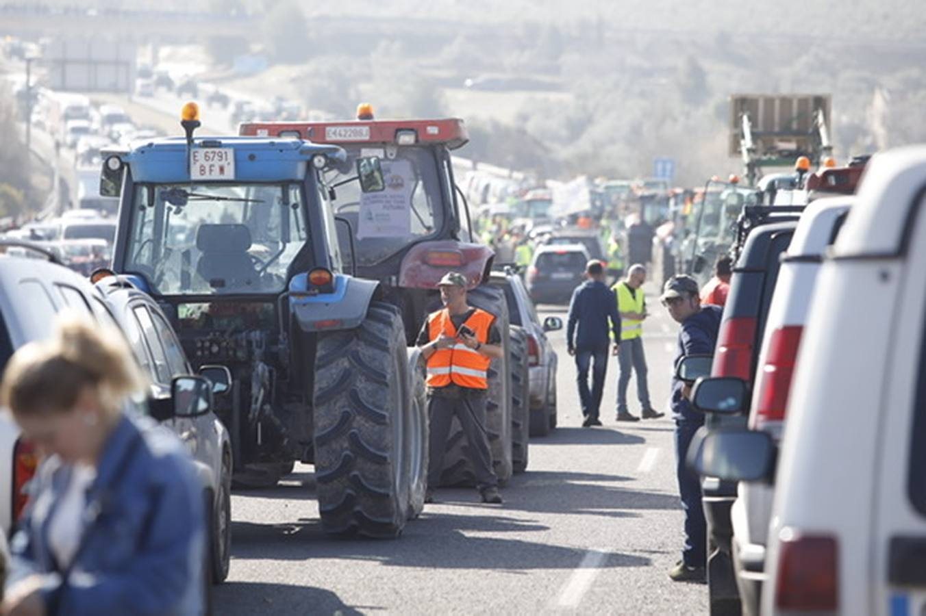 La marcha de agricultores y ganaderos en Lucena, en imágenes (I)