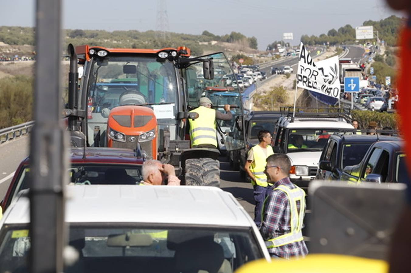 La marcha de agricultores y ganaderos en Lucena, en imágenes (I)