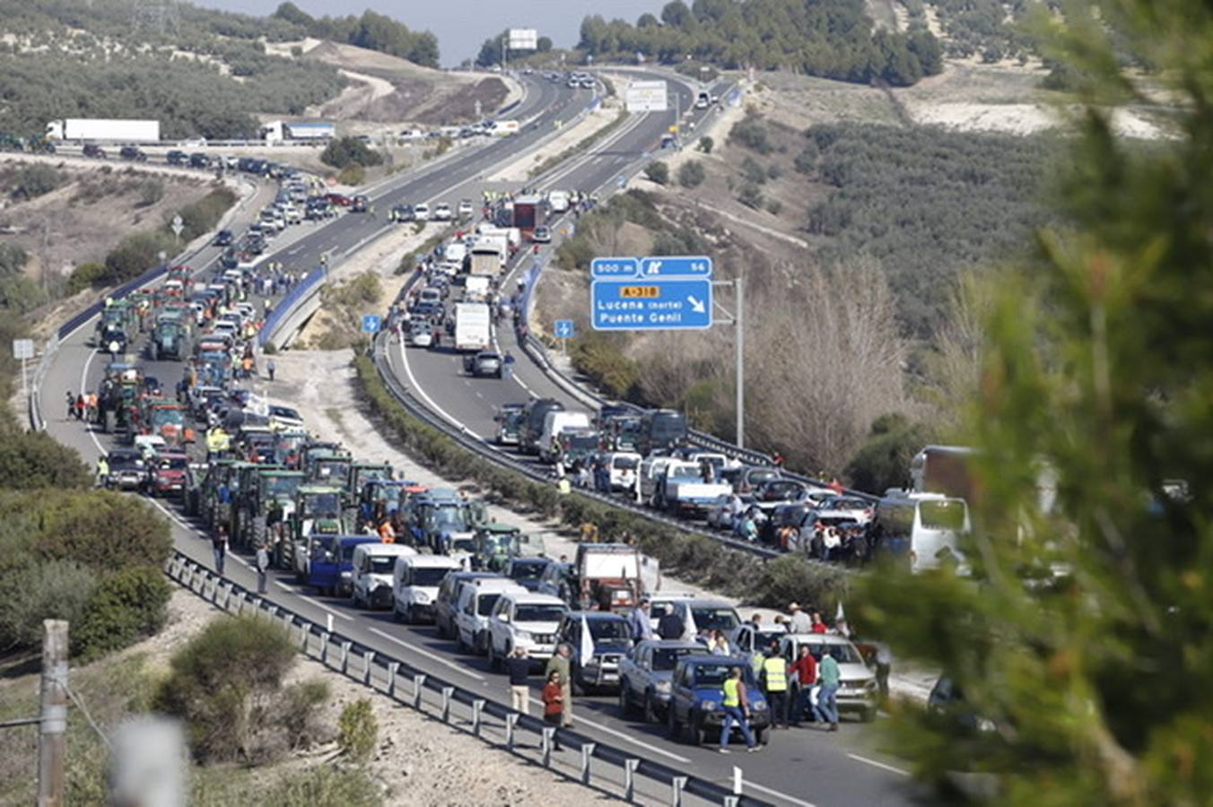 La marcha de agricultores y ganaderos en Lucena, en imágenes (I)