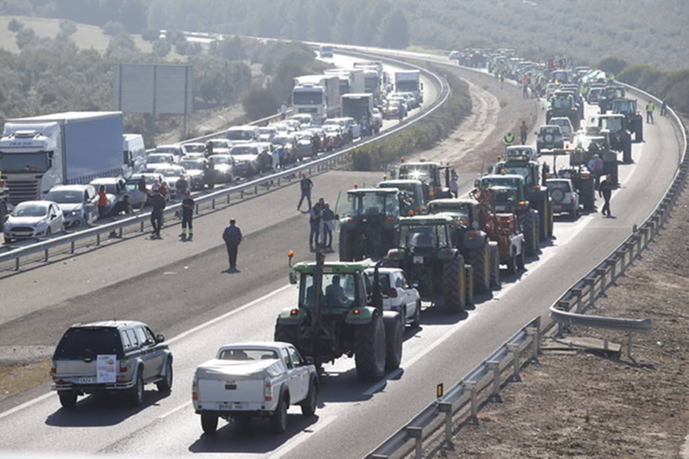 La marcha de agricultores y ganaderos en Lucena, en imágenes (I)