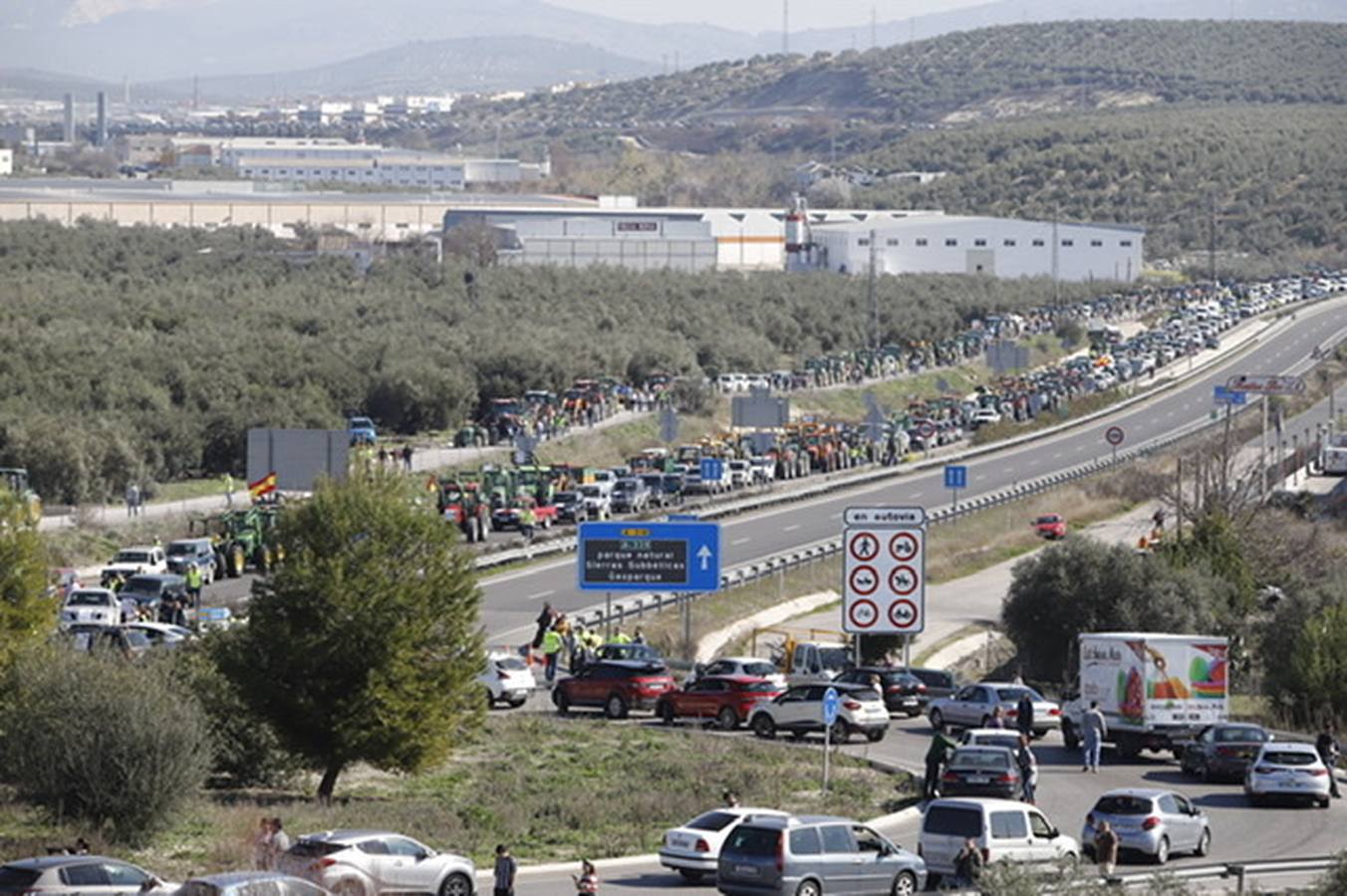 La marcha de agricultores y ganaderos en Lucena, en imágenes (II)