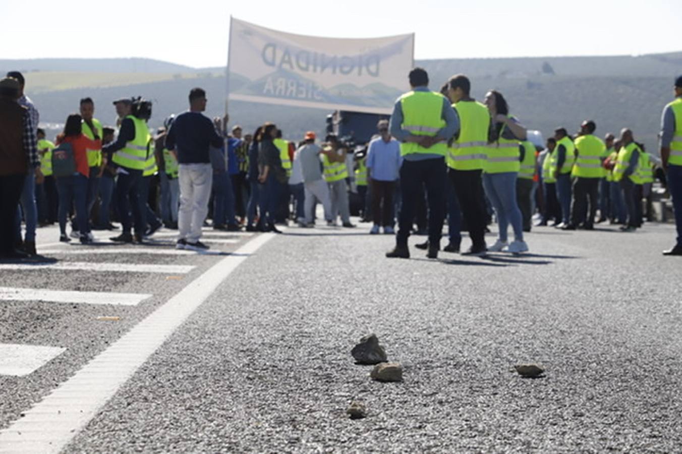 La marcha de agricultores y ganaderos en Lucena, en imágenes (II)