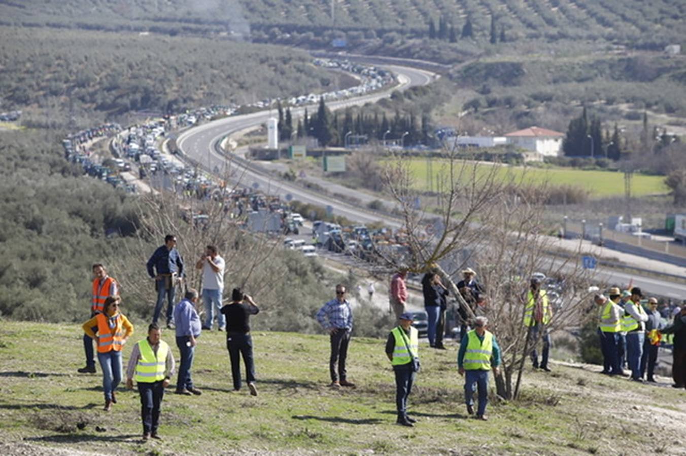 La marcha de agricultores y ganaderos en Lucena, en imágenes (II)